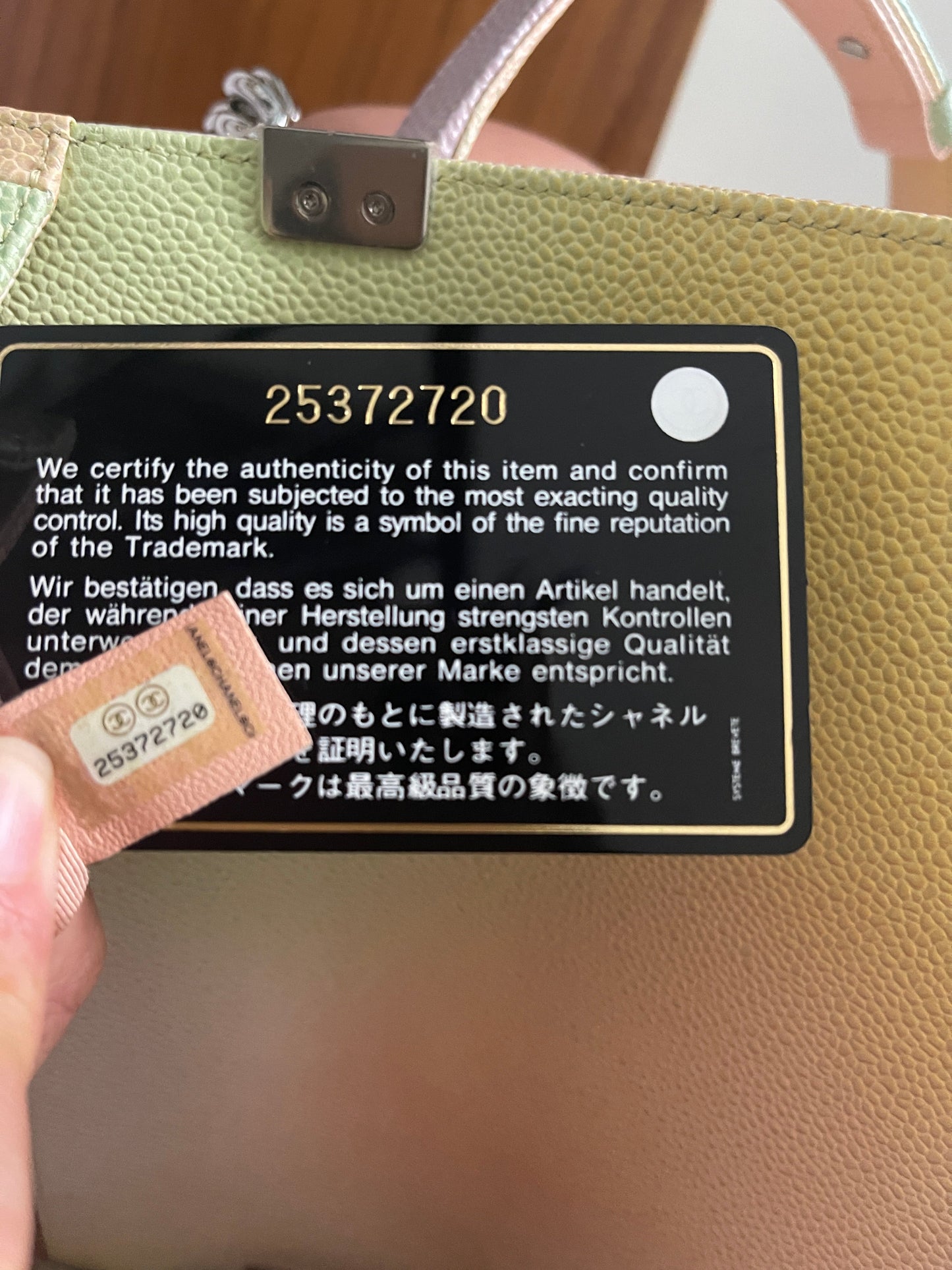 Deposit Chanel Rainbow Boy Meidum Flap Bag