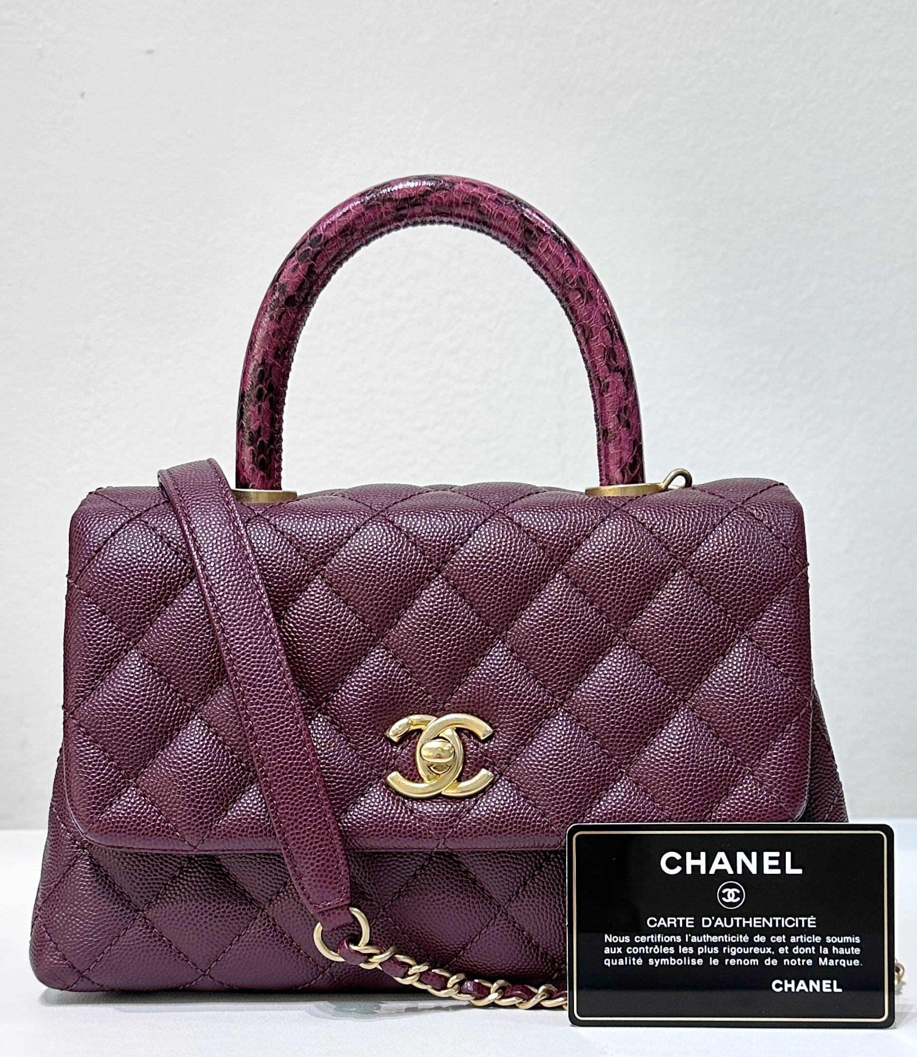 Chanel Small Coco Handle Elaphe Leather Handle Burgundy Jemeryluxury