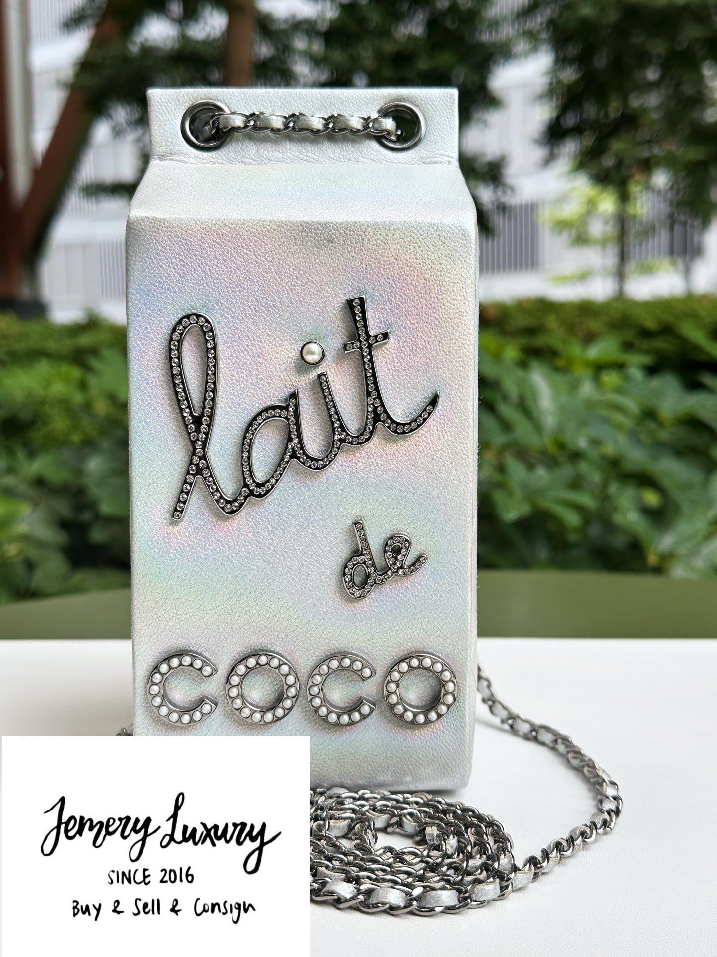 CHANEL RARE LIMITED EDITION LAIT DE COCO MILK CARTON BAG 2033 holo