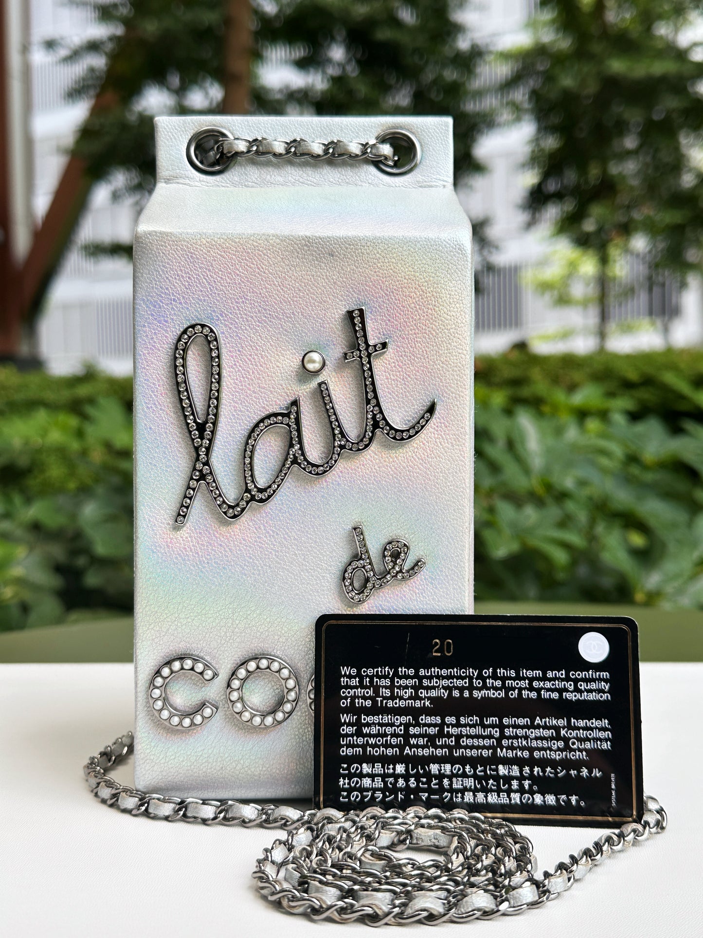 CHANEL RARE LIMITED EDITION LAIT DE COCO MILK CARTON BAG 2033 holo